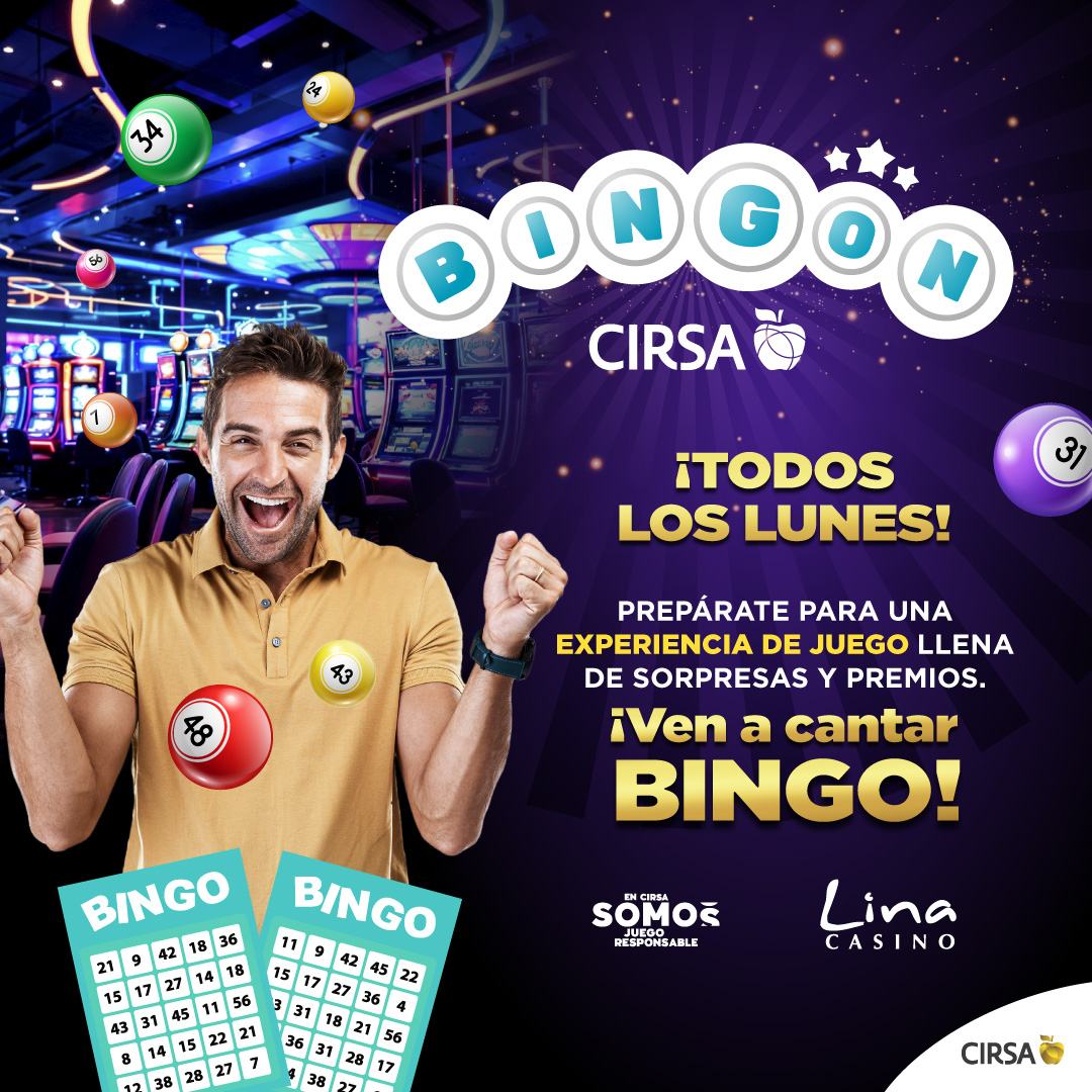 Web Lina diciembre 2025 Bingon